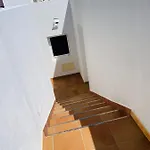 Naia *